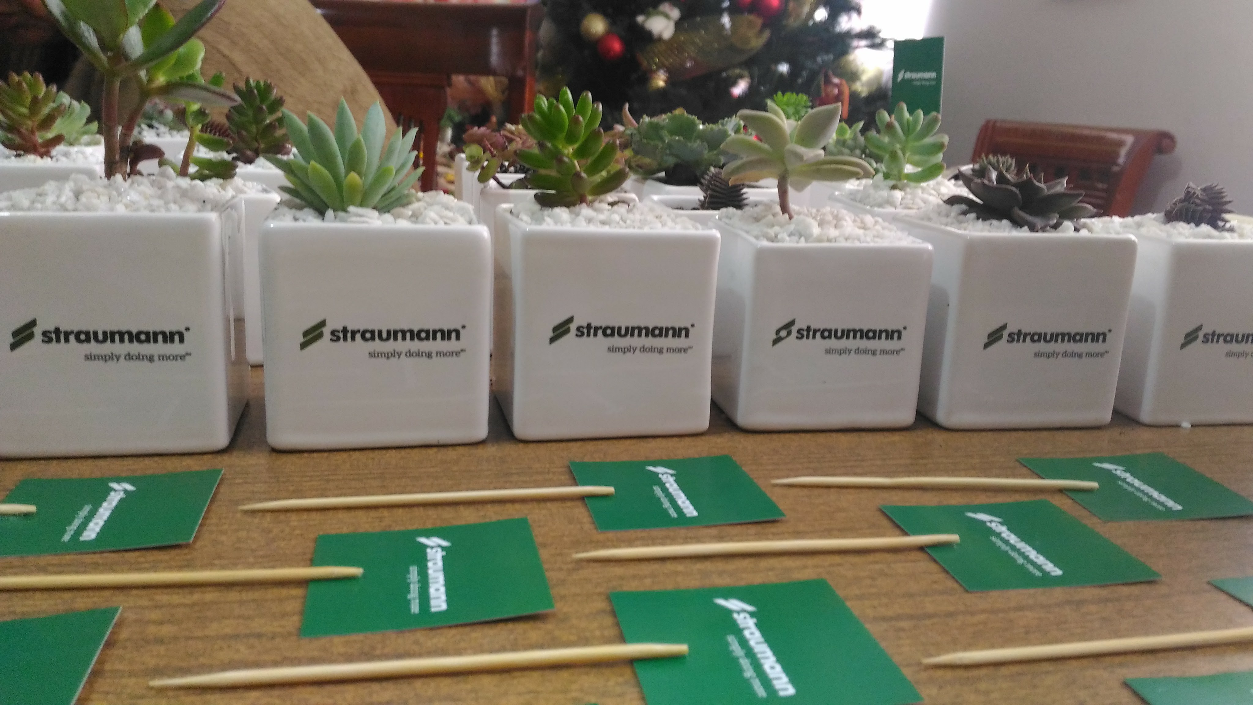 Matera de Cerámica con Suculenta y Chip NFC